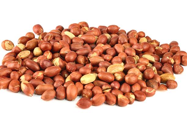 spanish peanut seeds for planting PEANUT SPANISH RAW – Mound City Shelled Nut Co