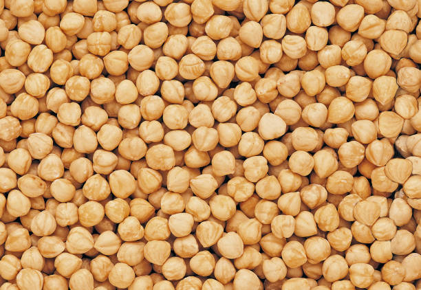 FILBERT BLANCHED RAW