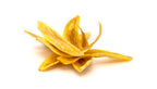 BANANA DRIED
